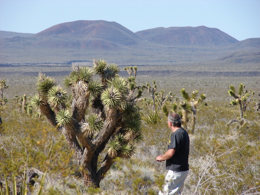 mojave (13) (Copier).JPG